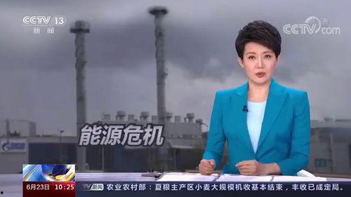 俄乌今日新闻爆料视频,视频揭露战场惊人一幕